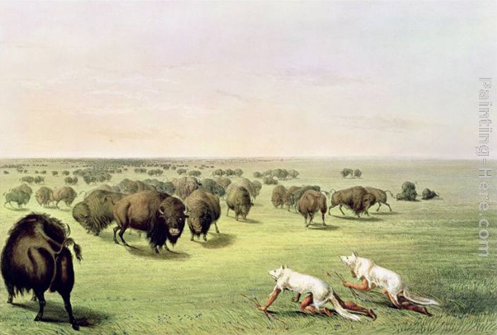 Hunting Buffalo Camouflaged with Wolf Skins, circa 1832 painting - George Catlin Hunting Buffalo Camouflaged with Wolf Skins, circa 1832 art painting